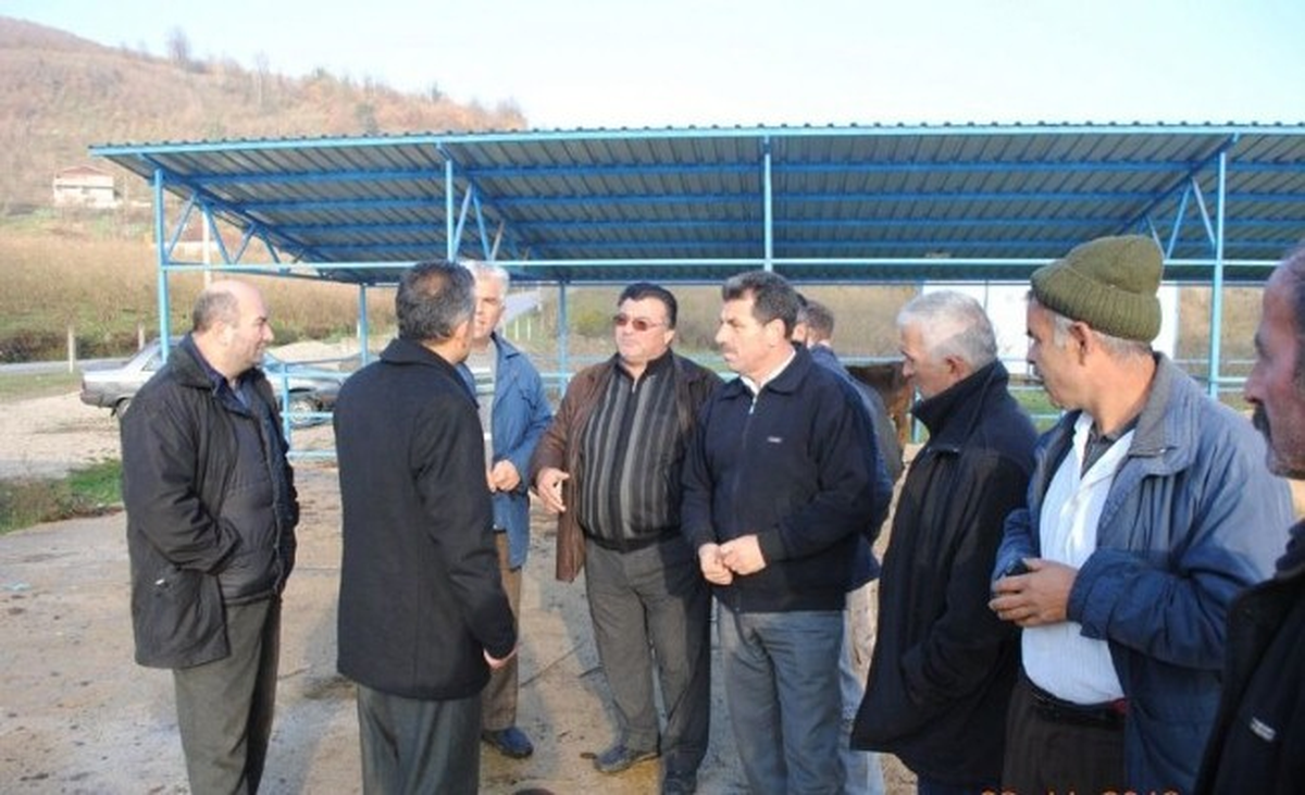 Karanfil, Hayvan Pazarını İnceledi