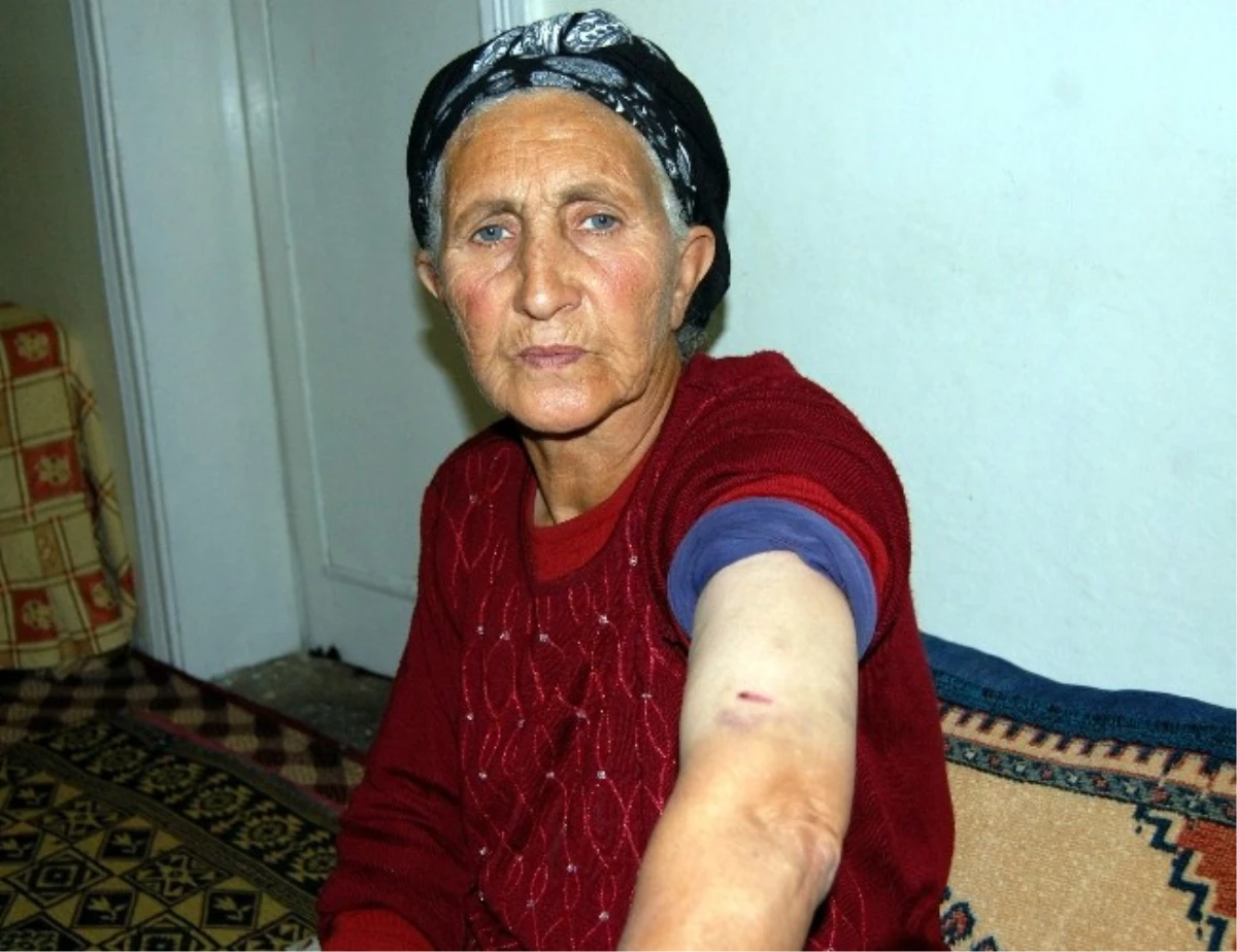 Komşusu Tarafından Darp Edilen Yaşlı Kadın Yaralandı