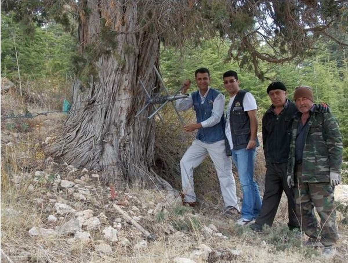 Mersin Orman Bölge Müdürlüğü\'nden Türkiye\'ye Örnek Olacak Çalışma