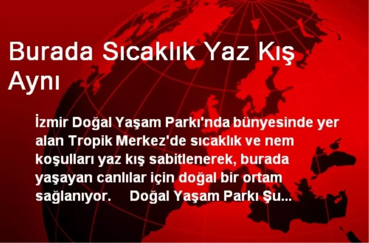 Burada Sıcaklık Yaz Kış Aynı