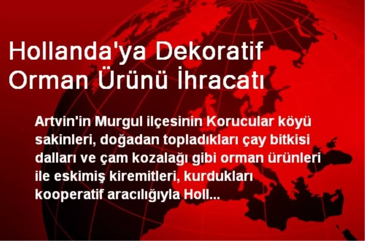 Hollanda\'ya Dekoratif Orman Ürünü İhracatı