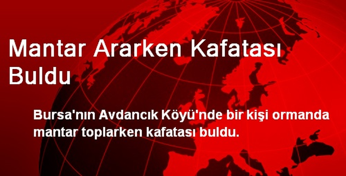 Mantar Ararken Kafatası Buldu