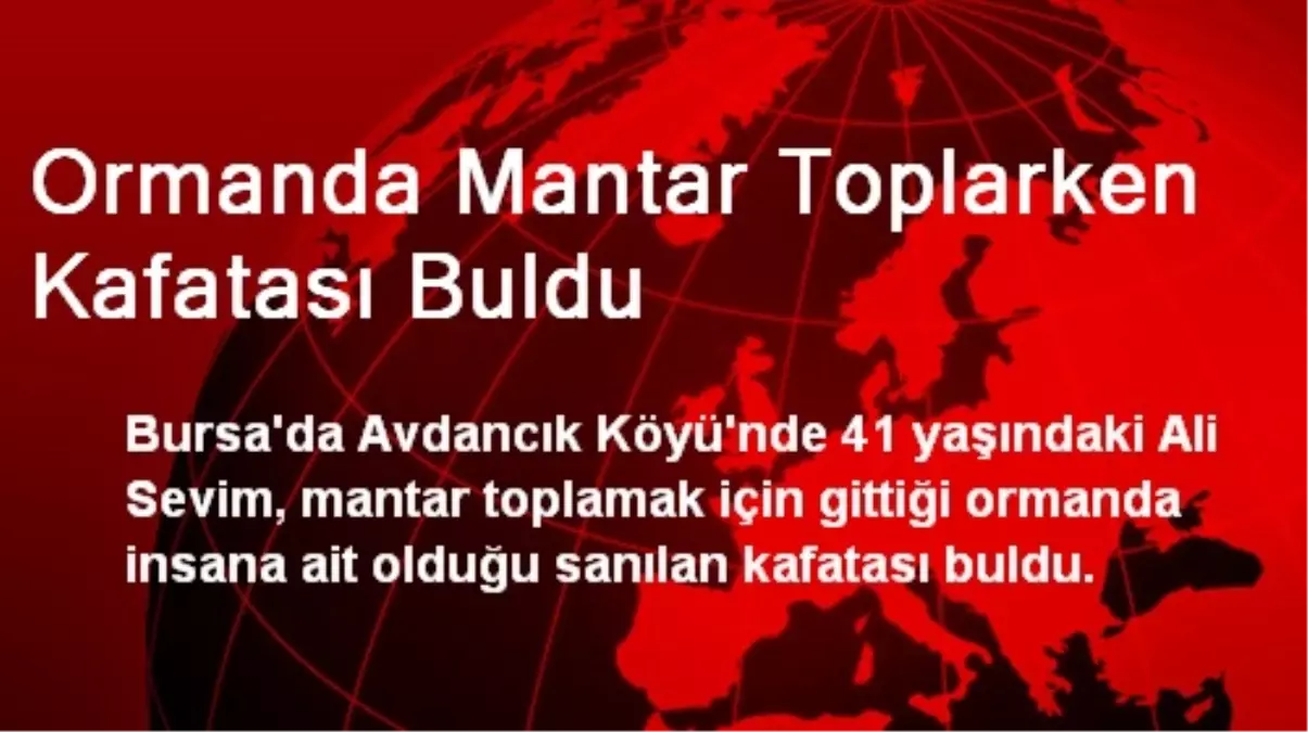 Ormanda Mantar Toplarken Kafatası Buldu