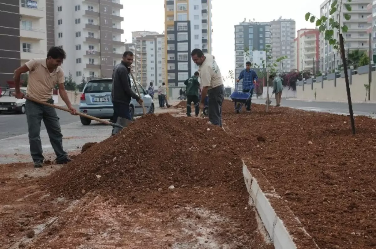 Yenişehir Turunç Kokacak