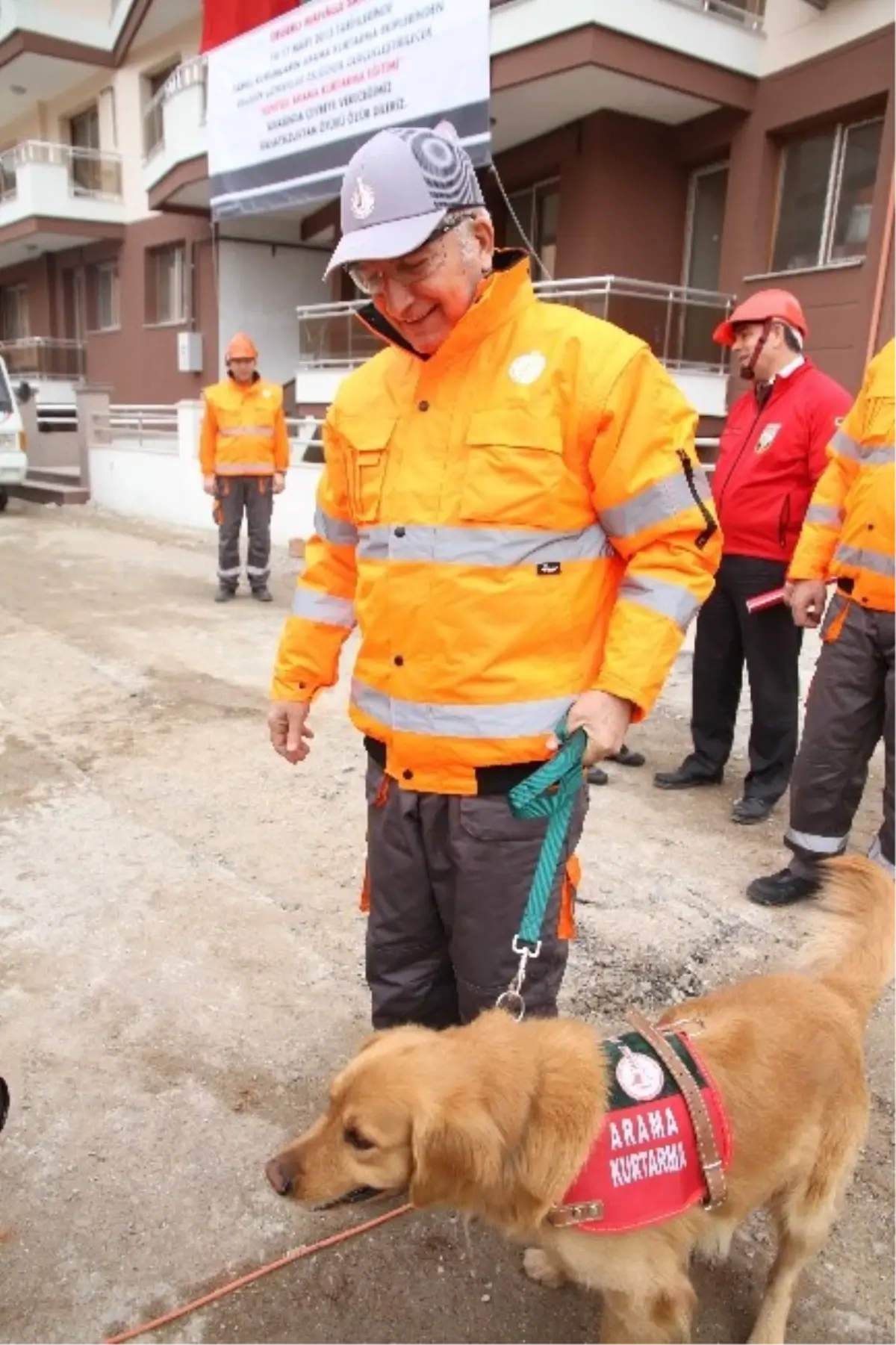 Bu Belge Sadece 22 Köpekte Var