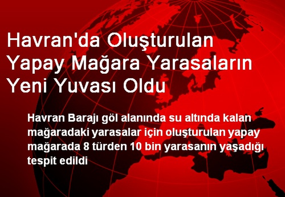 Havran\'da Oluşturulan Yapay Mağara Yarasaların Yeni Yuvası Oldu