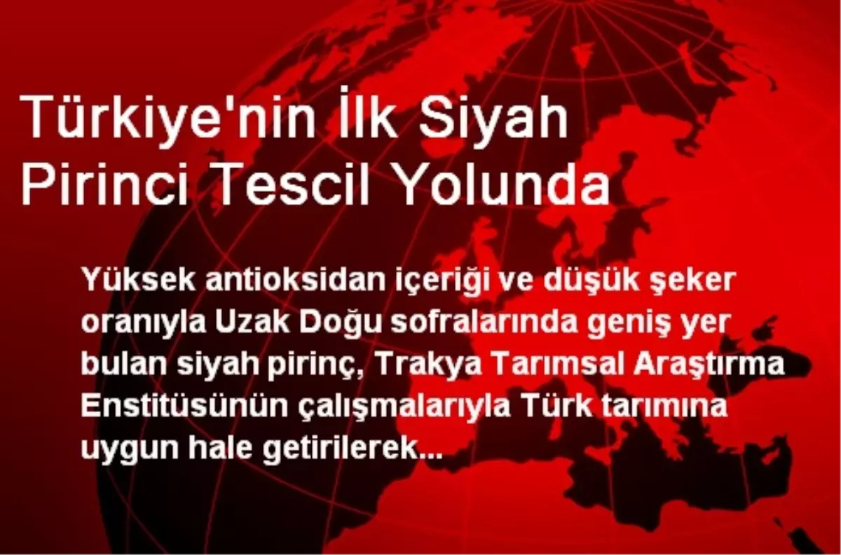 Türkiye\'nin İlk Siyah Pirinci Tescil Yolunda