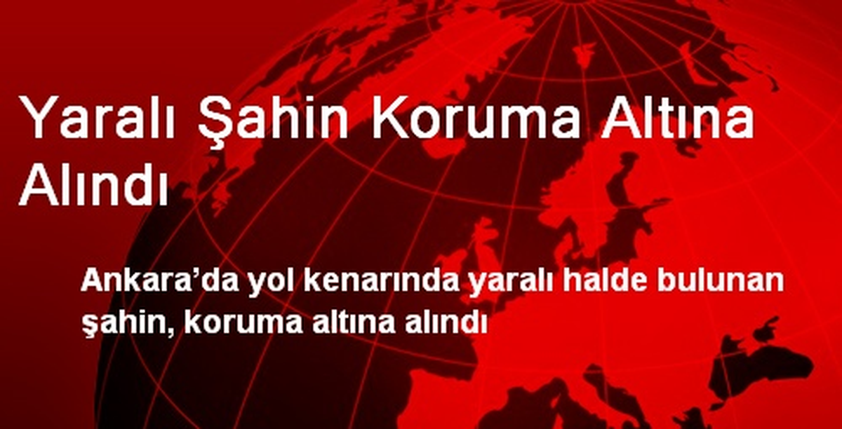 Yaralı Şahin Koruma Altına Alındı