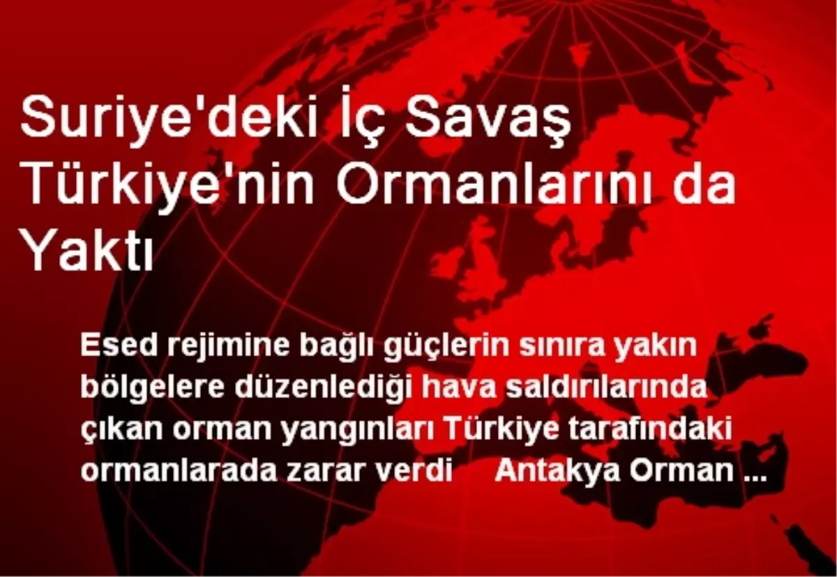 Suriye\'deki İç Savaş Türkiye\'nin Ormanlarını da Yaktı