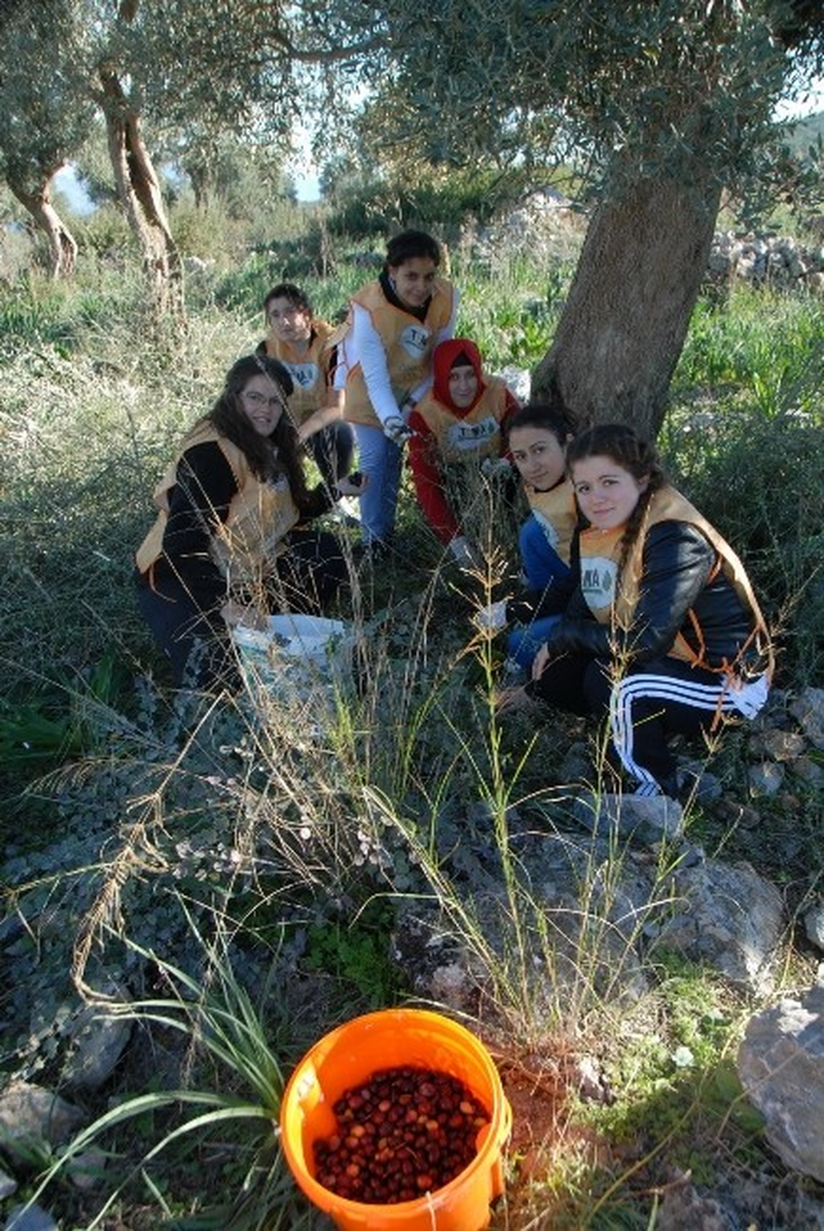 Adü Didim Myo Öğrencilerine Uygulamalı Eğitim