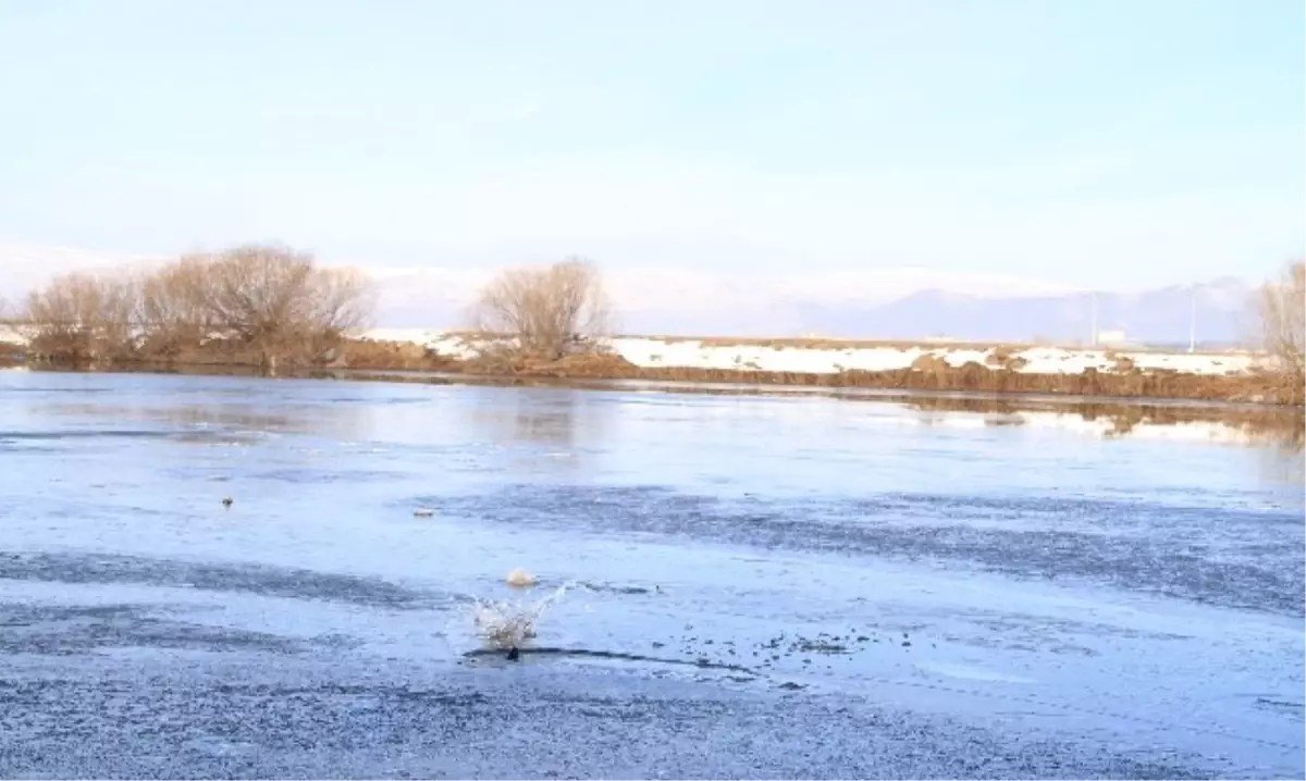 Ardahan\'da Kura Nehri Buz Tuttu