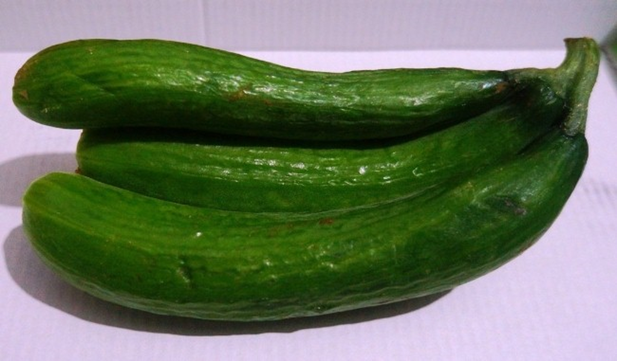 Bir Sapta Üç Salatalık