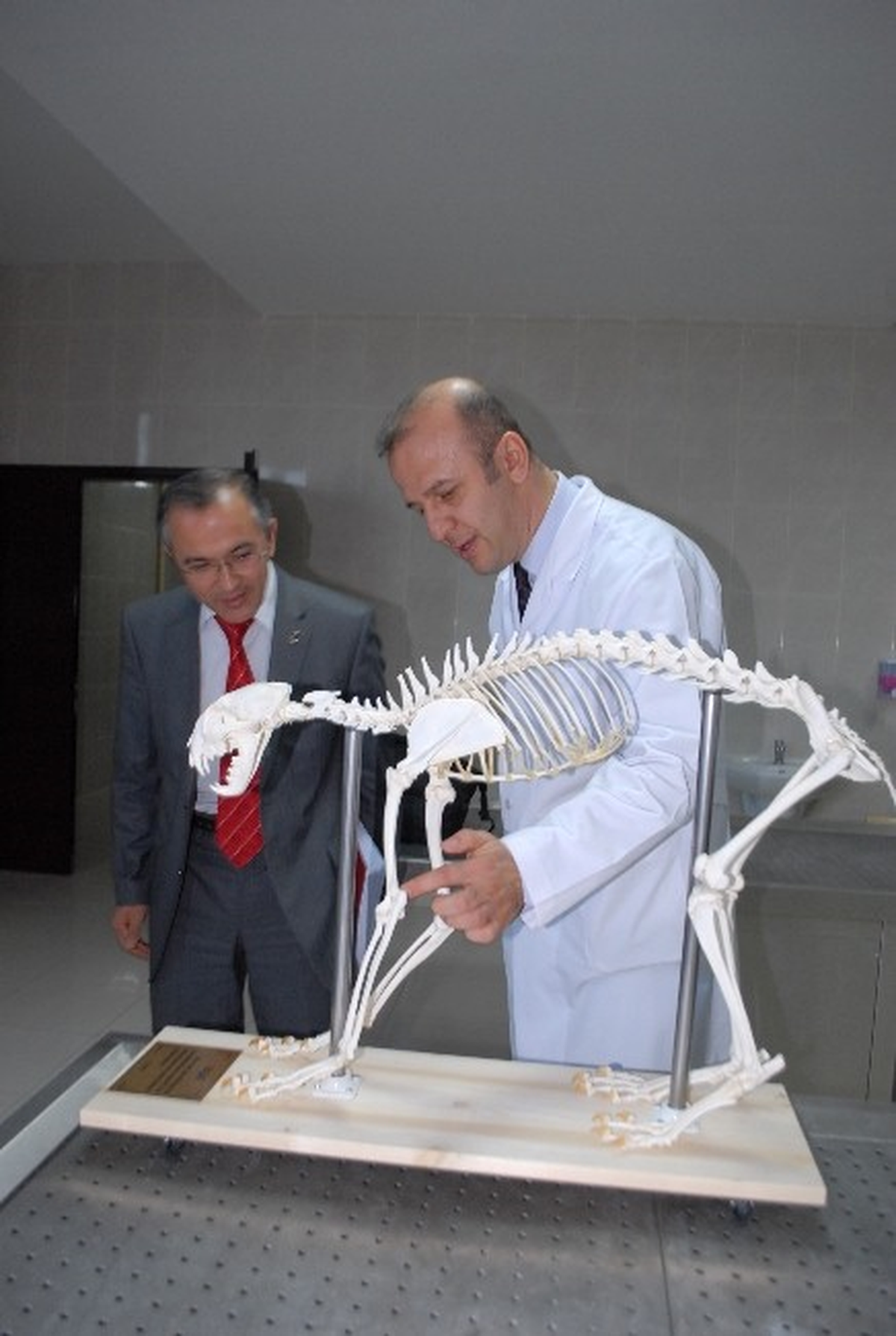 Öldürülen Vaşak Üniversite Öğrencilerine Ders Gereci Oldu
