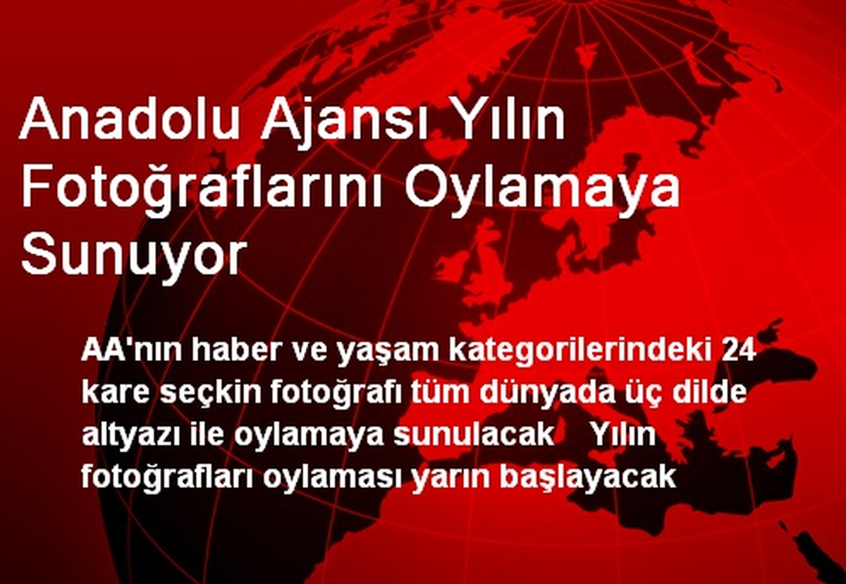 Anadolu Ajansı Yılın Fotoğraflarını Oylamaya Sunuyor