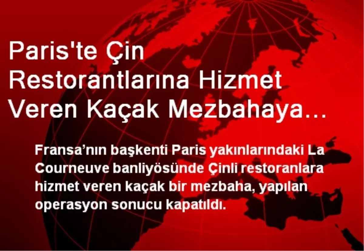 Paris\'te Çin Restorantlarına Hizmet Veren Kaçak Mezbahaya Operasyon