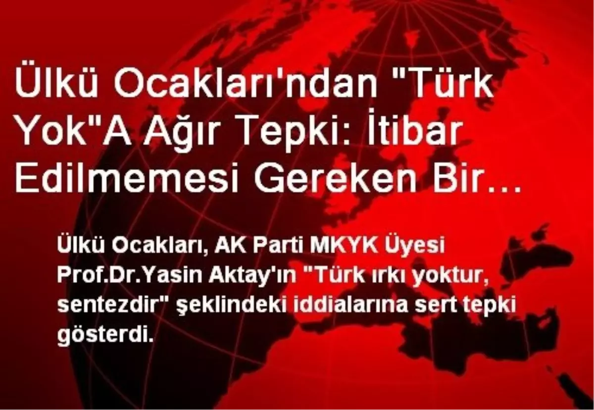 Ülkü Ocakları\'ndan "Türk Yok"A Ağır Tepki: İtibar Edilmemesi Gereken Bir Kişilik