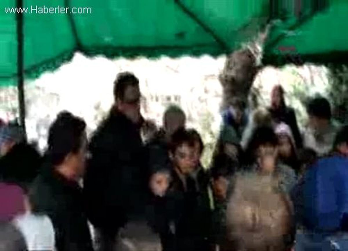 Ağabeye Son Dokunuş