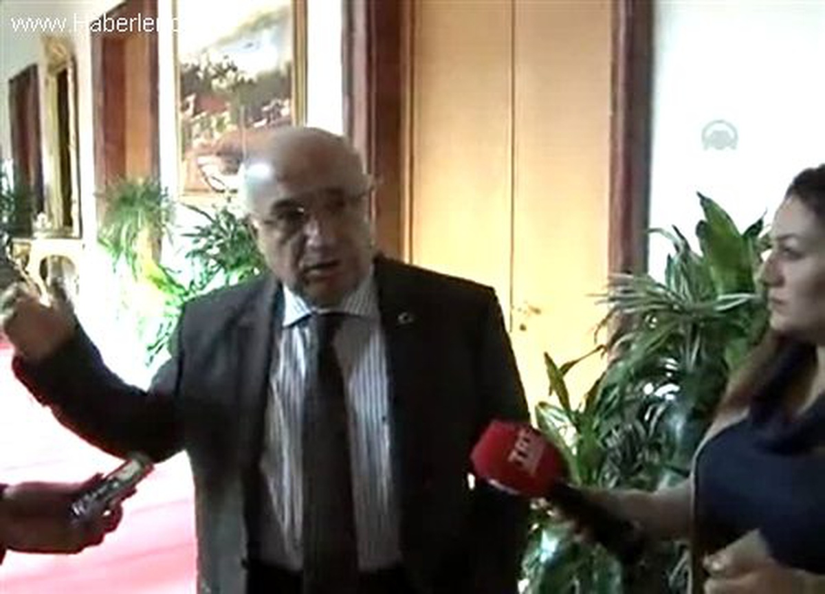 Cemil Çiçek "Türk ırkı yoktur" tartışmaları