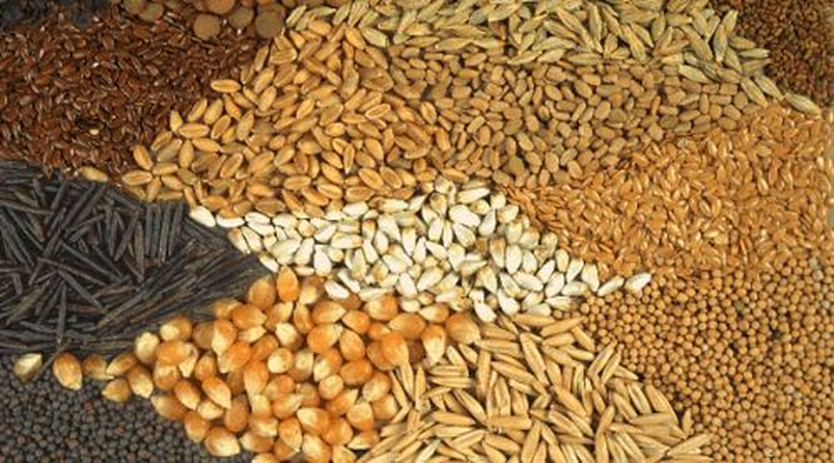 Kızıltepe Ticaret Borsası İşlemleri