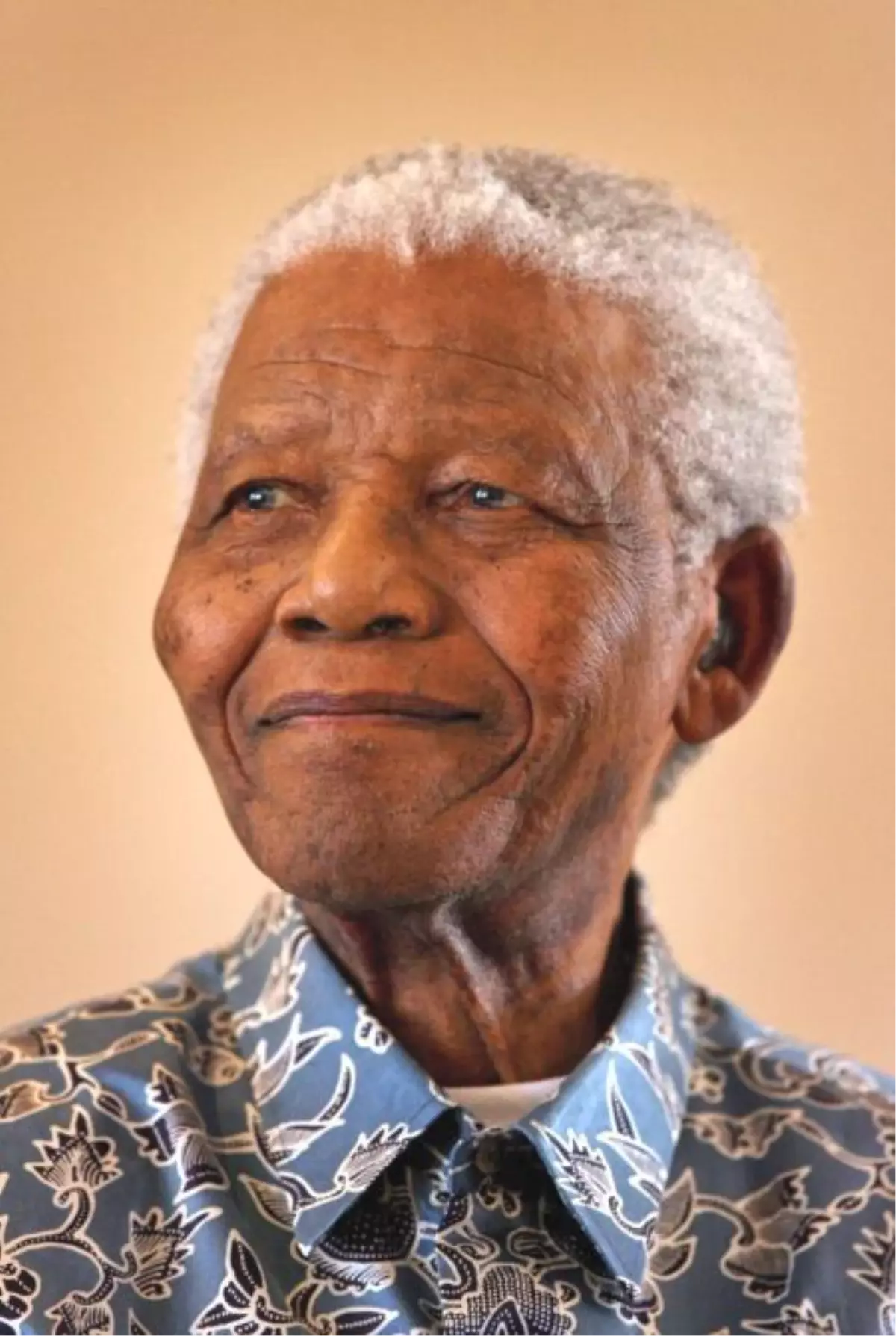 Güney Afrika'nın Eski Devlet Başkanı Mandela Savaşıyor