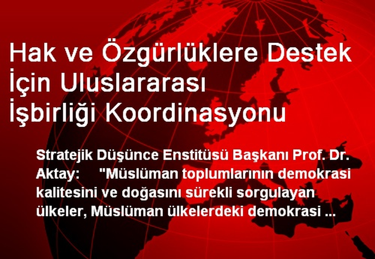 Hak ve Özgürlüklere Destek İçin Uluslararası İşbirliği Koordinasyonu