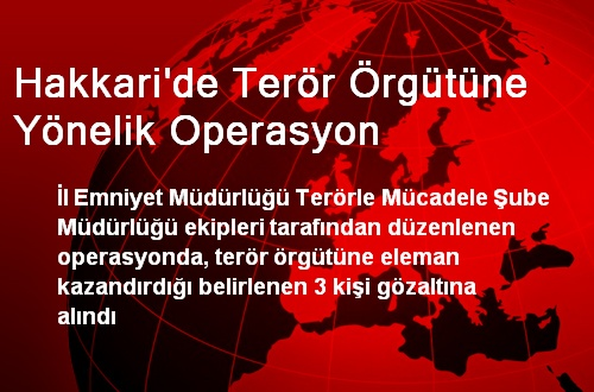 Hakkari\'de Terör Örgütüne Yönelik Operasyon