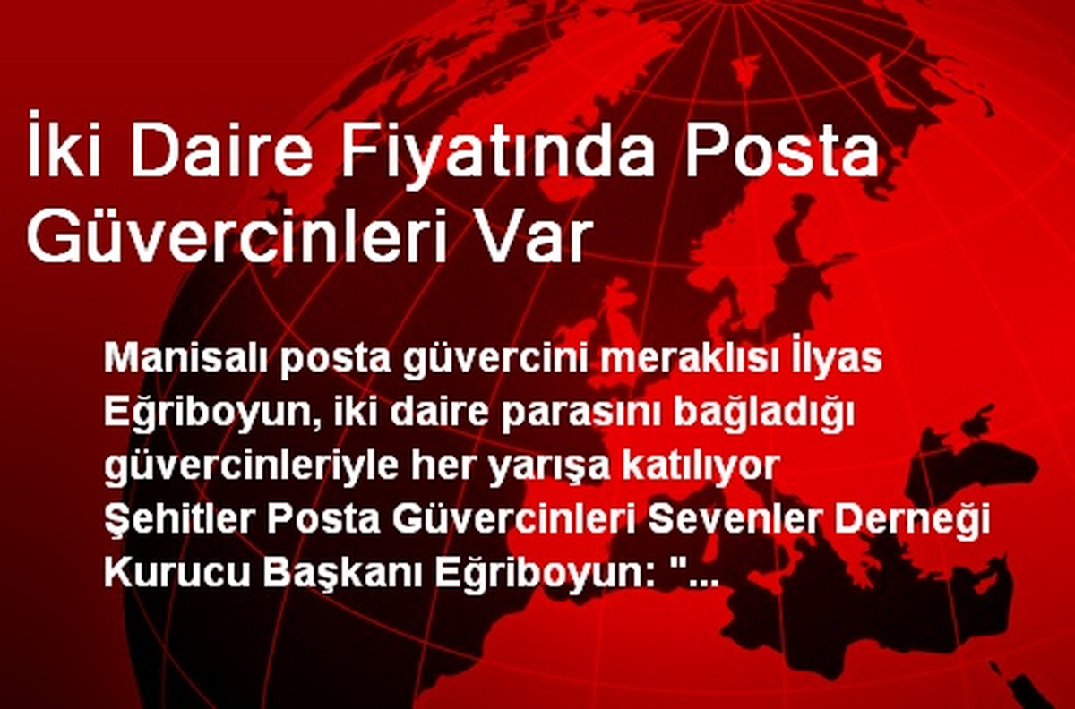 İki Daire Fiyatında Posta Güvercinleri Var