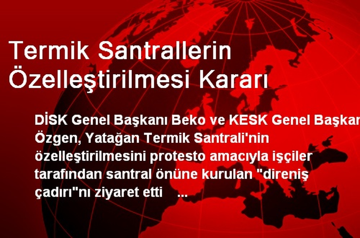 Termik Santrallerin Özelleştirilmesi Kararı