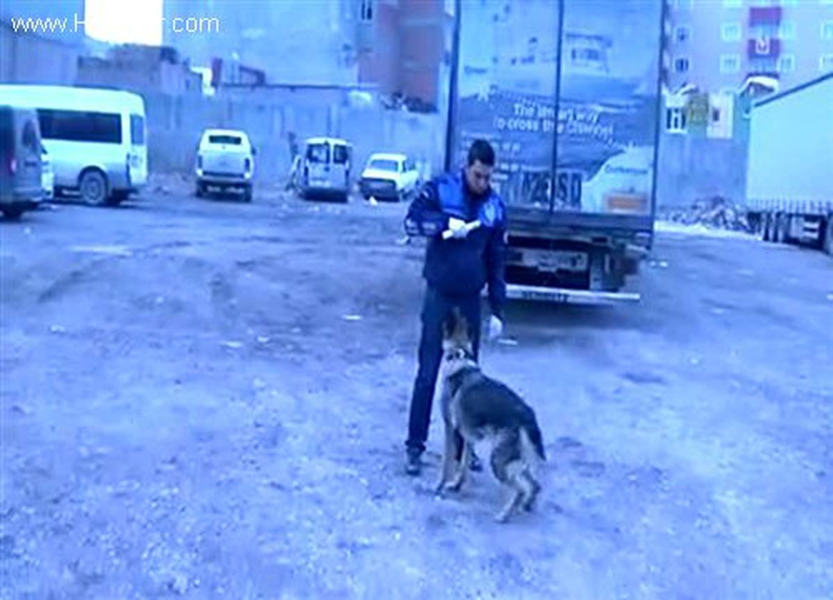 Pamuk balyaları içinde kaçak sigara