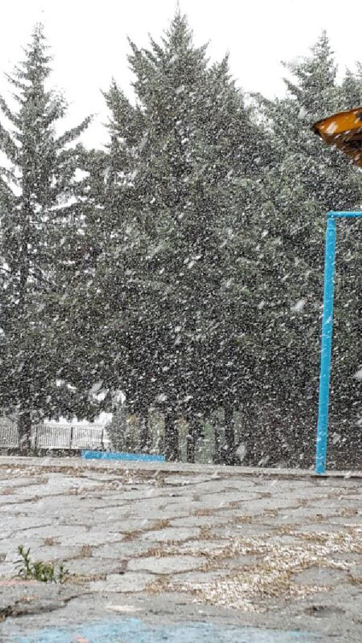 Samsun ve Ordu\'nun Yükseklerine Kar Yağdı