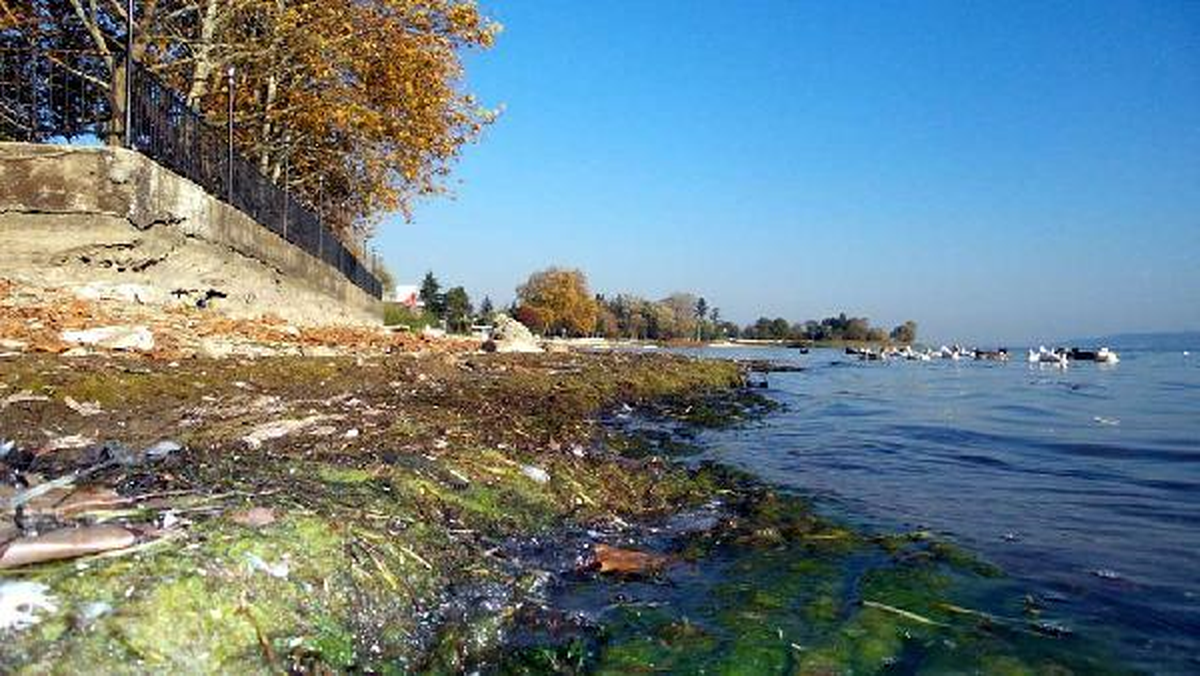 Sapanca Gölü Son 10 Yılın En Düşük Su Seviyesine Ulaştı