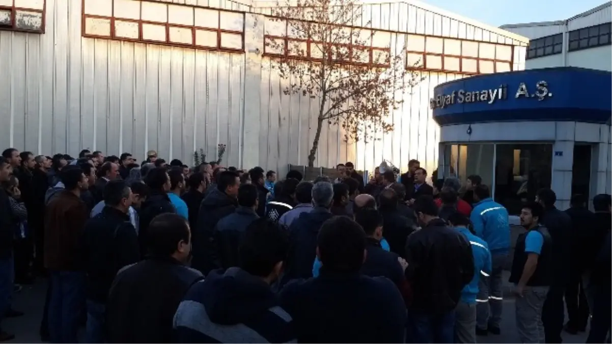 Şişecam İşcisi Eylemde