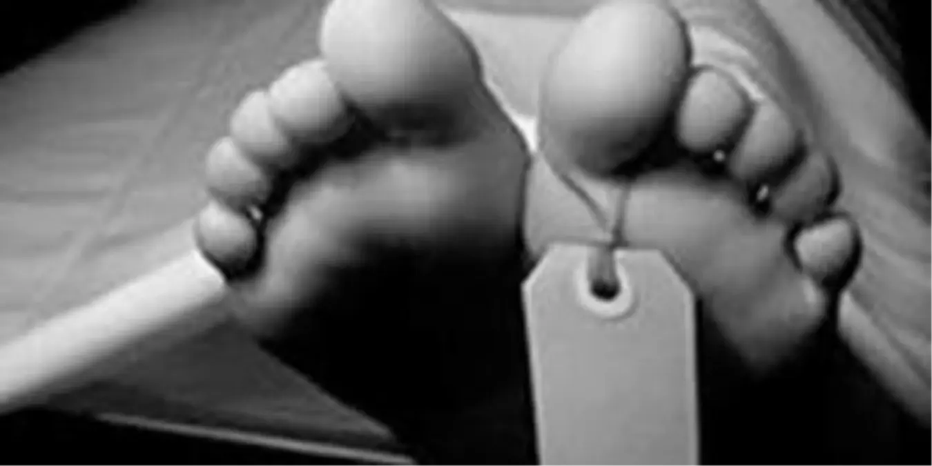 Fatsa\'da Yaşlı Bir Kadın Evinde Ölü Bulundu