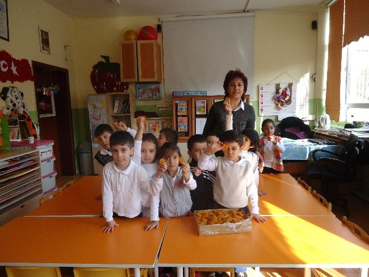 Başkent Kayısı\'ya Doydu