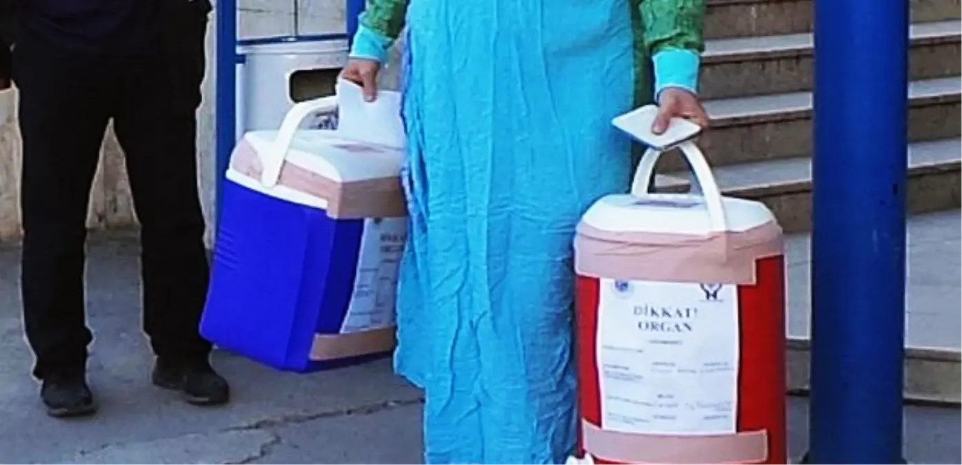 Beyin Ölümü Gerçekleşen Kadının Organları Ailesince Bağışlandı