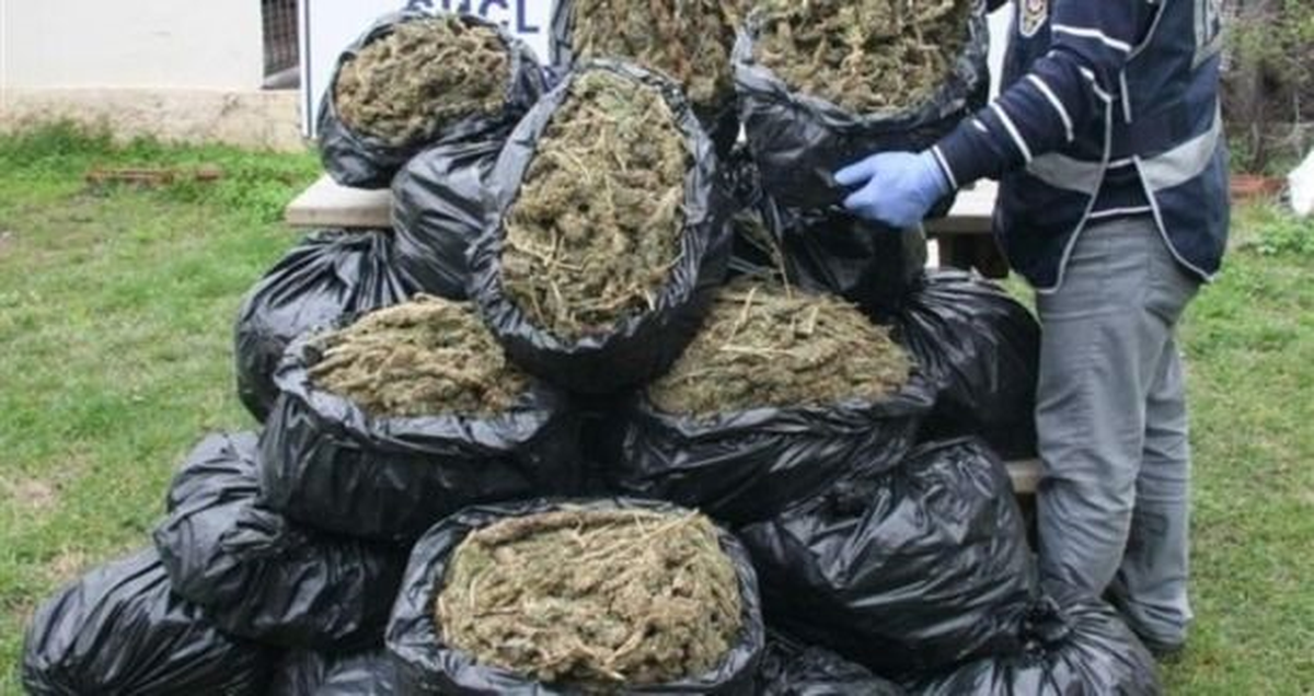 Bursa\'da 1,5 Ton Esrar Ele Geçirildi