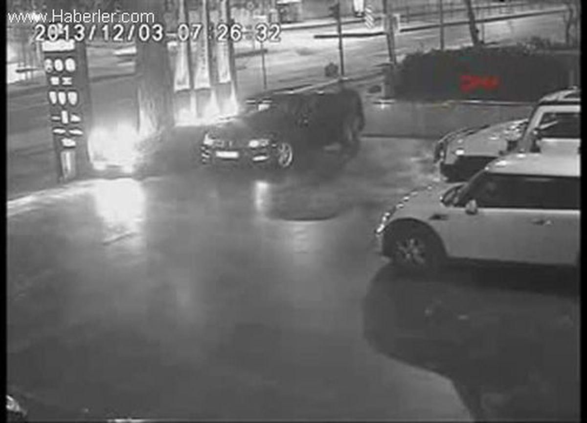 Hem Lüks Otomobili Hem de Papağanı Çaldılar
