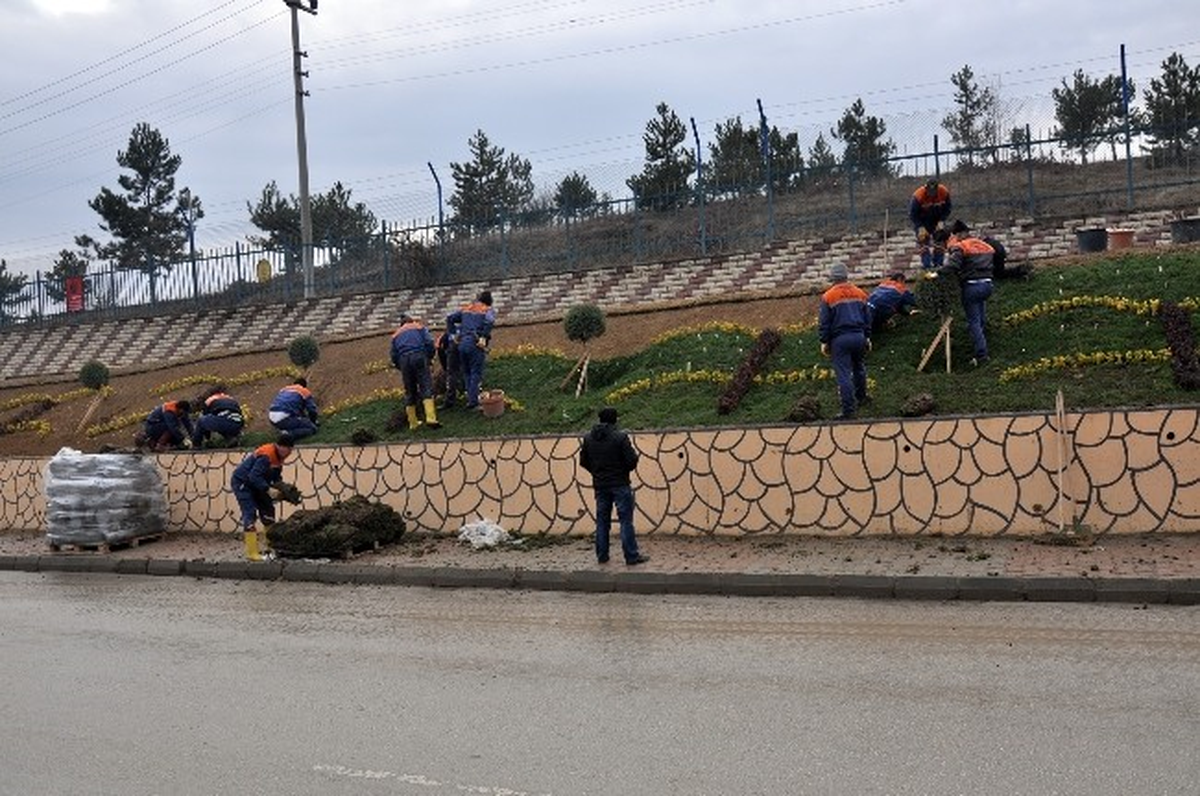 Kastamonu Daday Yolunda Örnek Peyzaj Çalışması