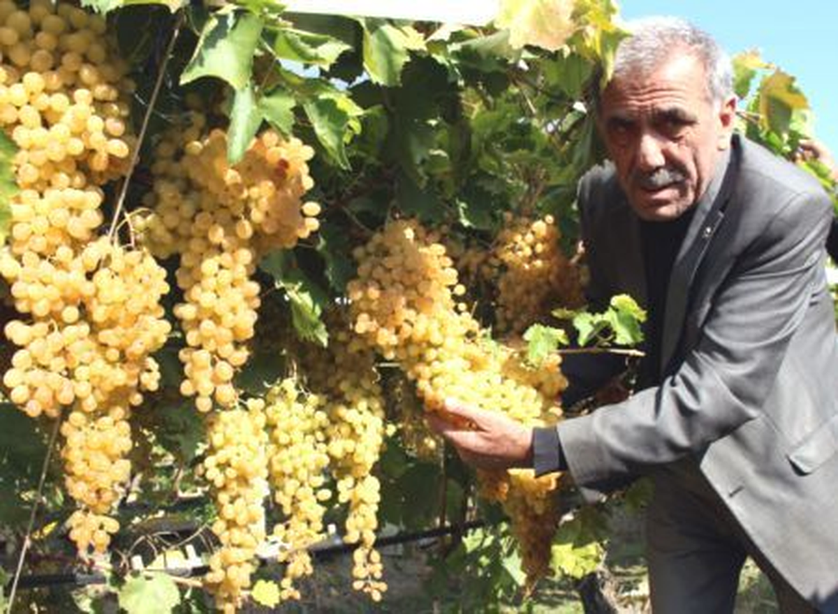 Manisa\'dan Kısa Kısa