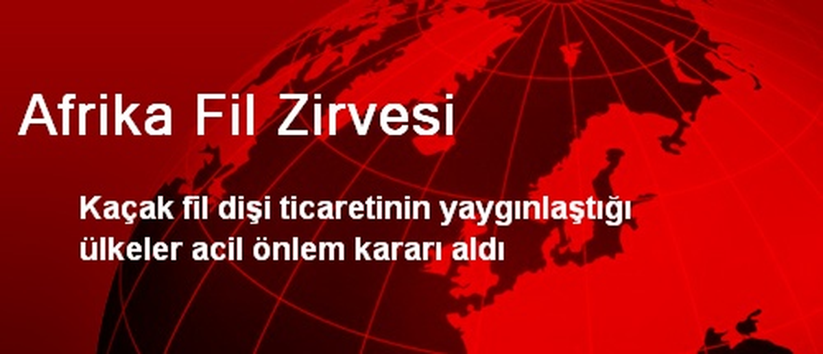 Afrika Fil Zirvesi
