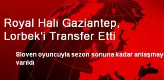 Royal Halı Gaziantep, Lorbek'i Transfer Etti