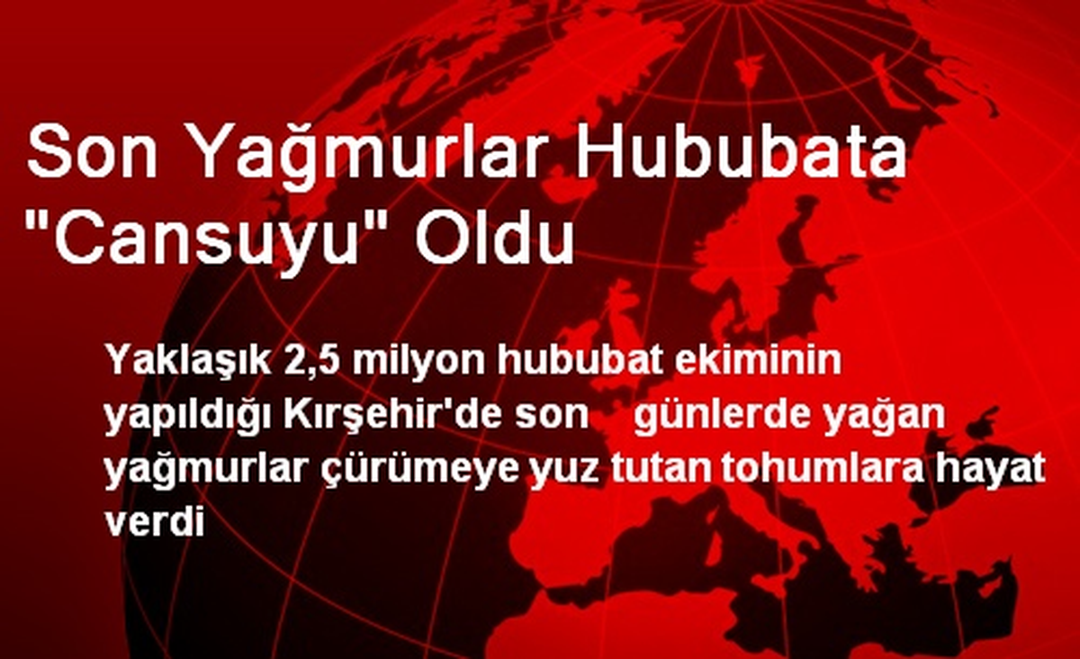 Son Yağmurlar Hububata "Cansuyu" Oldu