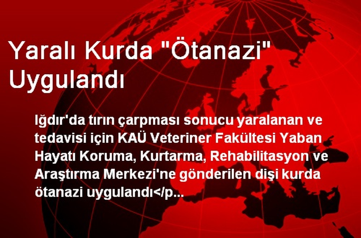 Yaralı Kurda "Ötanazi" Uygulandı
