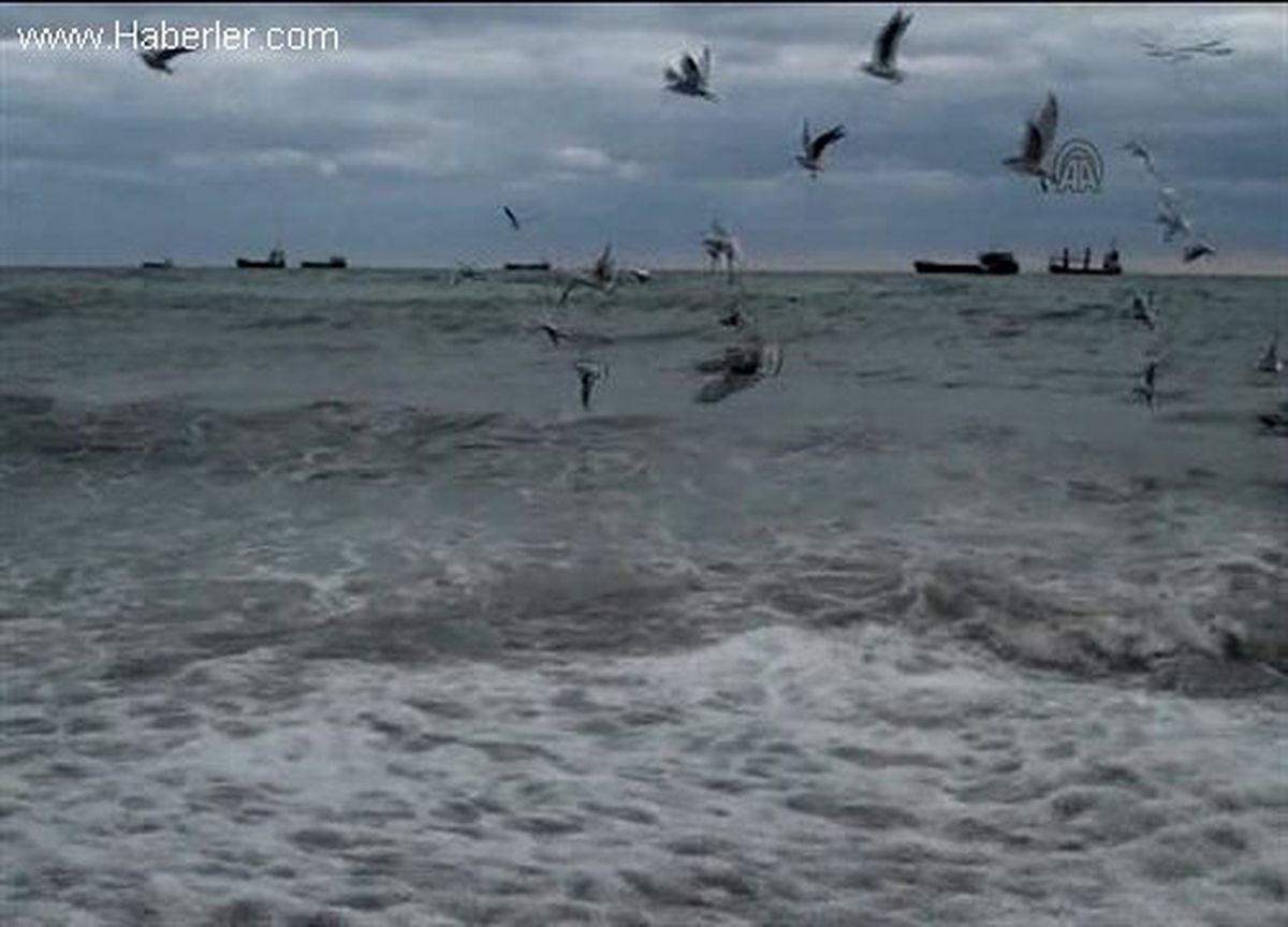 Poyraz Marmara\'da deniz ulaşımını olumsuz etkiledi