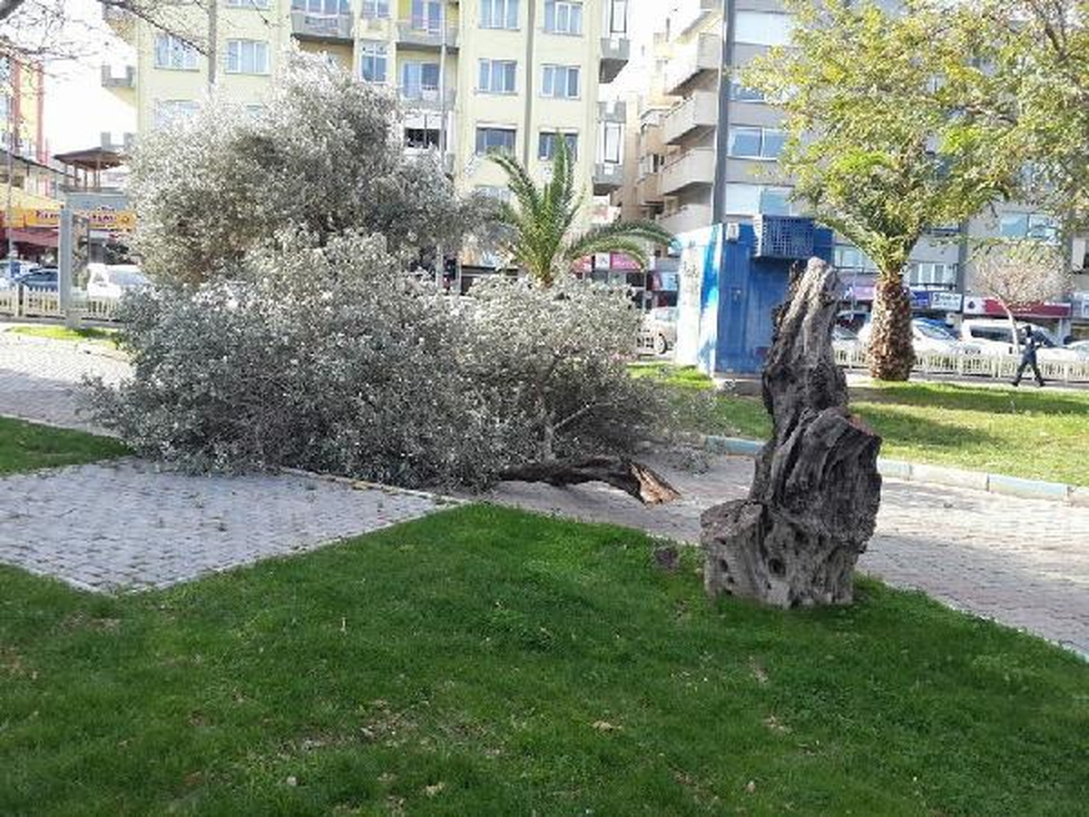 Söküm İçin Bekleyen Gemi, Fırtınada Sürüklendi