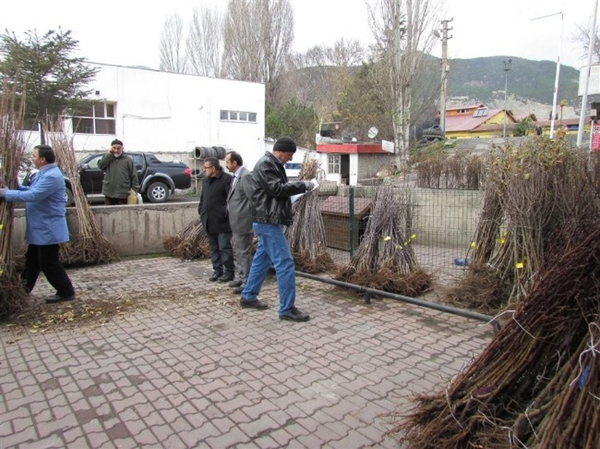 Tarım ve Hayvancılık Müdürlüğü Yarı Bedelli Meyve Bahçesi Kuruyor