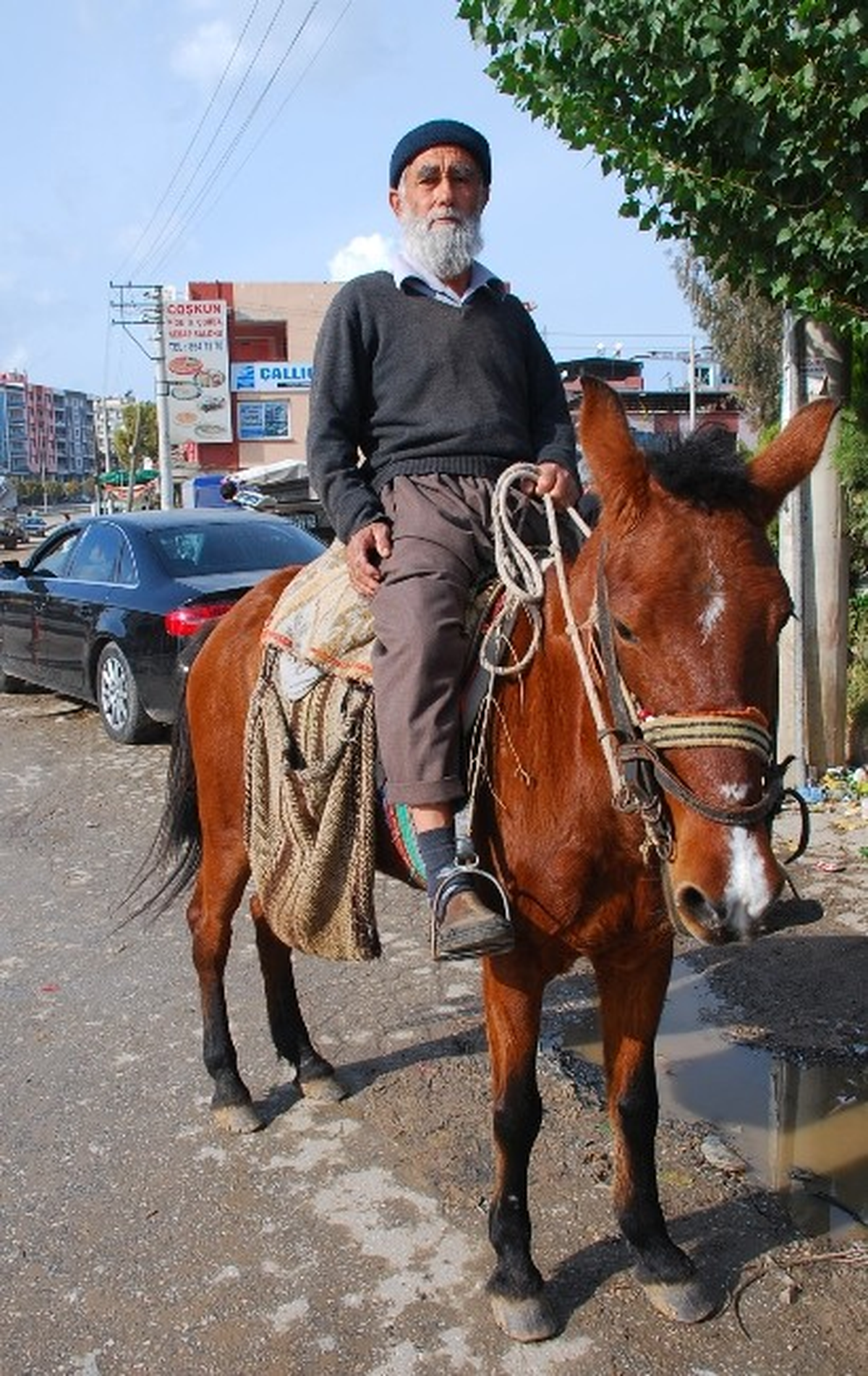 At Sırtında Bir Ömür