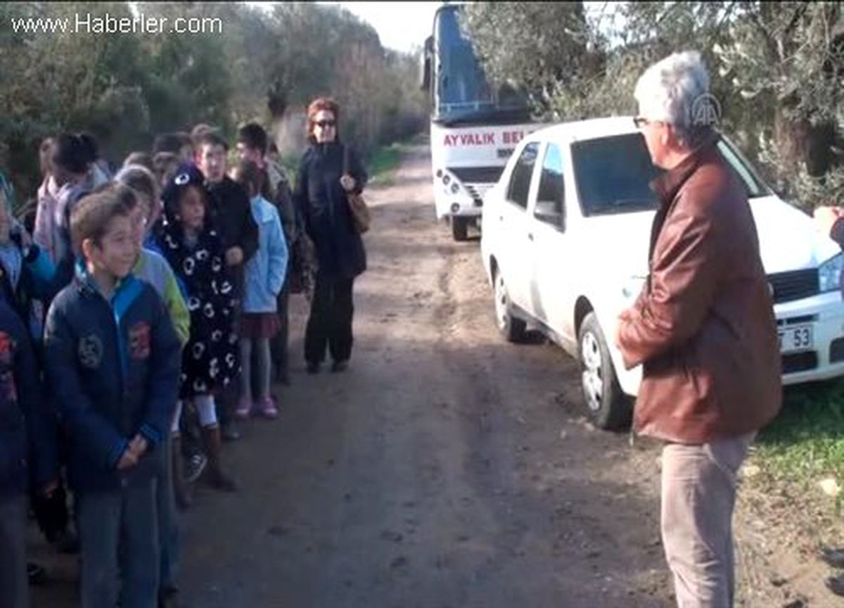 "Dersimiz; zeytin ve zeytinyağı"