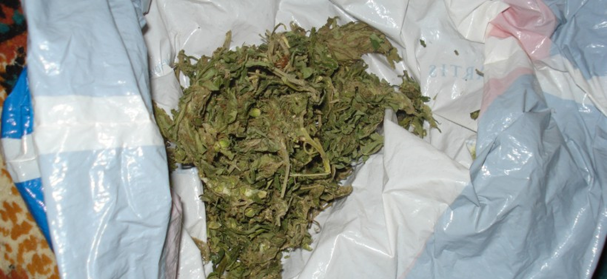 Erzurum\'da 7 Gram Esrar Maddesi Ele Geçirildi