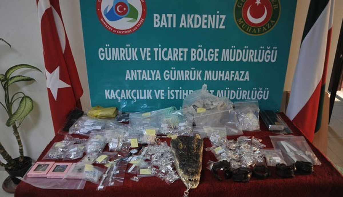 Gümrüklerde Timsah Kafası da Yakalandı Paraşüt De